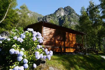 Camping le betulle